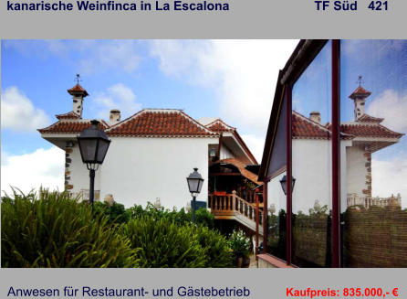 kanarische Weinfinca in La Escalona                        TF Süd   421   Anwesen für Restaurant- und Gästebetrieb   Kaufpreis: 835.000,- €