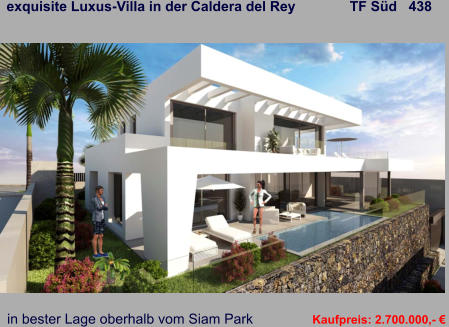exquisite Luxus-Villa in der Caldera del Rey              TF Süd   438   in bester Lage oberhalb vom Siam Park   Kaufpreis: 2.700.000,- €